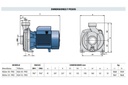 Motobomba Centrifuga 1Hp 220V 1F 1.5X1.5" Pedrollo Ngam1A Pro-220