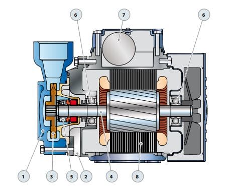 Motobomba Periferica 0.7Hp 110-220V 1F 0.5X0.5" Pedrollo Pqm81Pro