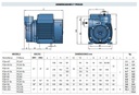 Motobomba Periferica 0.7Hp 110-220V 1F 0.5X0.5" Pedrollo Pqm81Pro