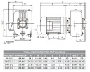 Motobomba Autocebante 5Hp 220V 1F 3x3" Barmesa 3N-5-2-1 TE1BFOXO 61030129