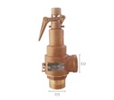 Valvula de Seguridad con Palanca 3/4" para Vapor o Aire Helbert HNVR019