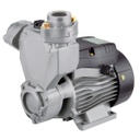 Motobomba Periferica 0.5Hp 110V 1F 1X1" Pearl Psp05A16S