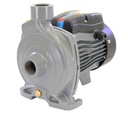 Motobomba Centrífuga 1Hp 110-220V 1F 1X1" Pearl Cep10F16S