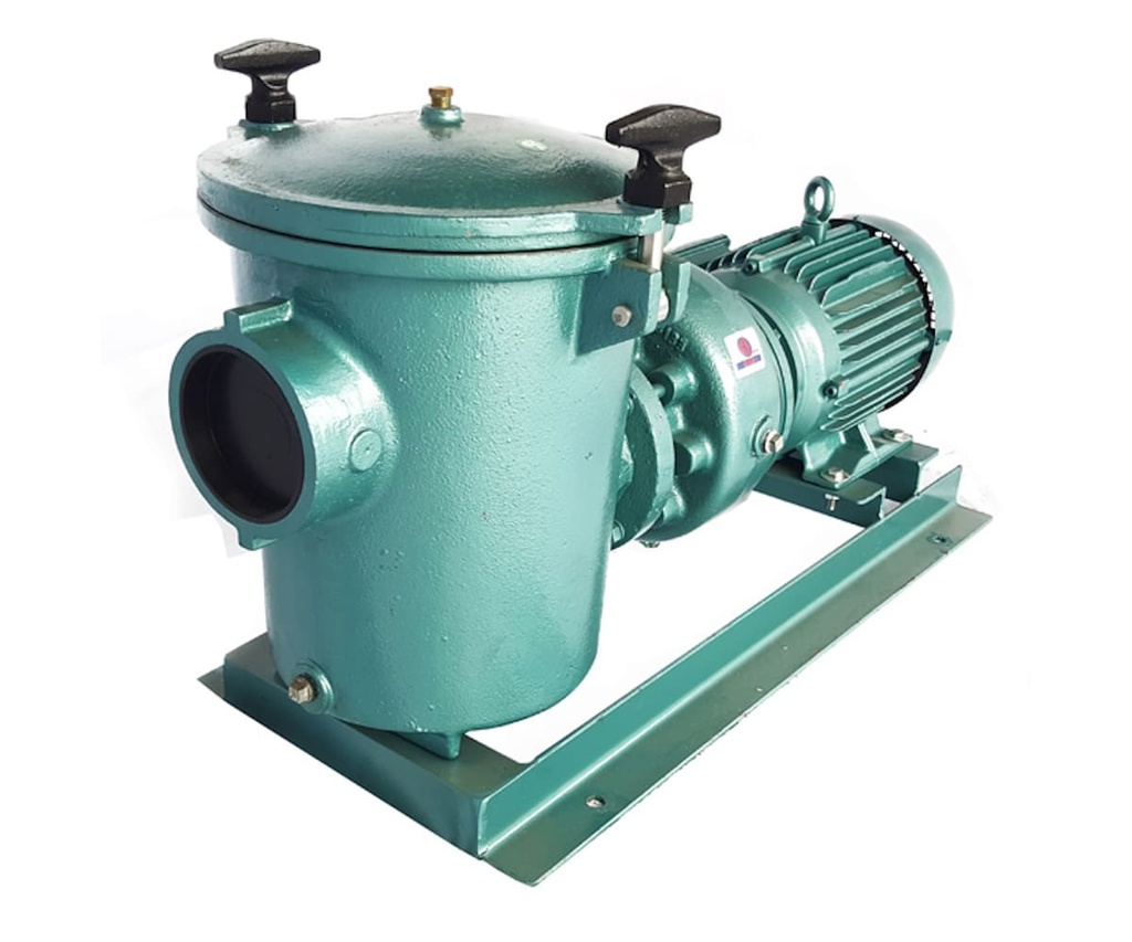 Motobomba Piscina 10Hp 220 1F 4X3" Ihm 40A-10Mw-Cit44ns