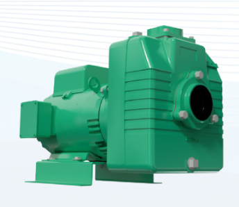 Motobomba Autocebante 2Hp 110-220V 1F 2X2" Barnes Ae 2 20-1