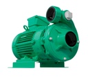 Motobomba Centrifuga 10Hp 220-440V 3F 3X3"  Barnes Qe 3 100