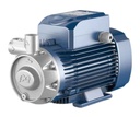 Motobomba Periferica 3Hp 220-380V 3F 0.75X0.75" Pedrollo Pq3000