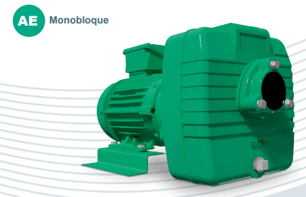 [1D0047] Motobomba Autocebante 1Hp 110-220V 1F 1.5X1.5" Barnes Ae 1.5 10-1