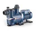 Motobomba Piscina 0.75Hp 220V 1F 2X2" Pedrollo Magnifica 1m