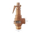 Valvula de Seguridad con Palanca 1-1/2" para Vapor o Aire Helbert Hnvr038