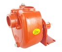 Bomba eje libre acoplada 5Hp IHM Gs 50-L1 SC EV