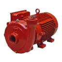 Motobomba Centrifuga 5Hp 220-440V 3F 2X2" Ihm Hy-Flo 20A-5Mw-IE3