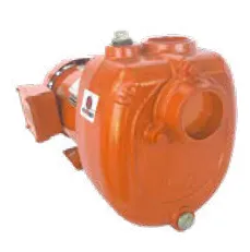 Motobomba Autocebante 3Hp 220-440V 3F 2X2" Ihm Gs 50-2TTP-IE366268000A1
