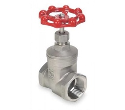 [240025AI] Valvula De Paso 1" Acero 200Cf8M 240025Ai