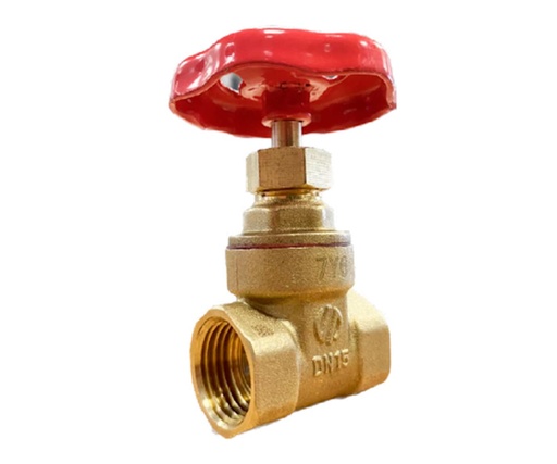 [PAKR032] Valvula Compuerta 1-1/4” Laton Arco Park032