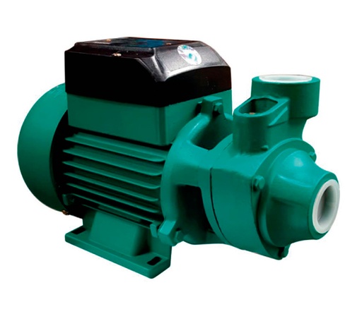 [E0280] Motobomba Periferica 0.5Hp 110-220V 1F 1"X1" Qb60 Barnes Be 1 5-1 Hf